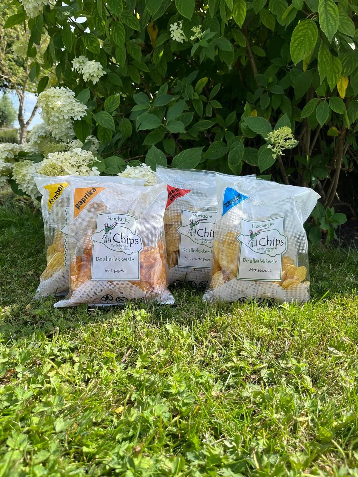 Hoeksche Chips