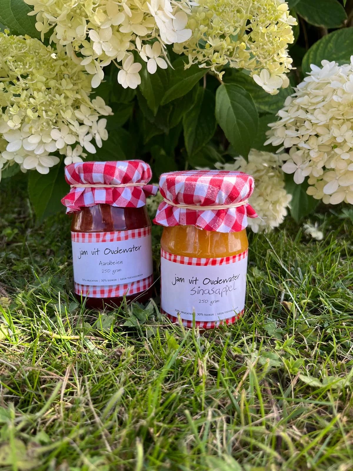 Jam uit Oudewater