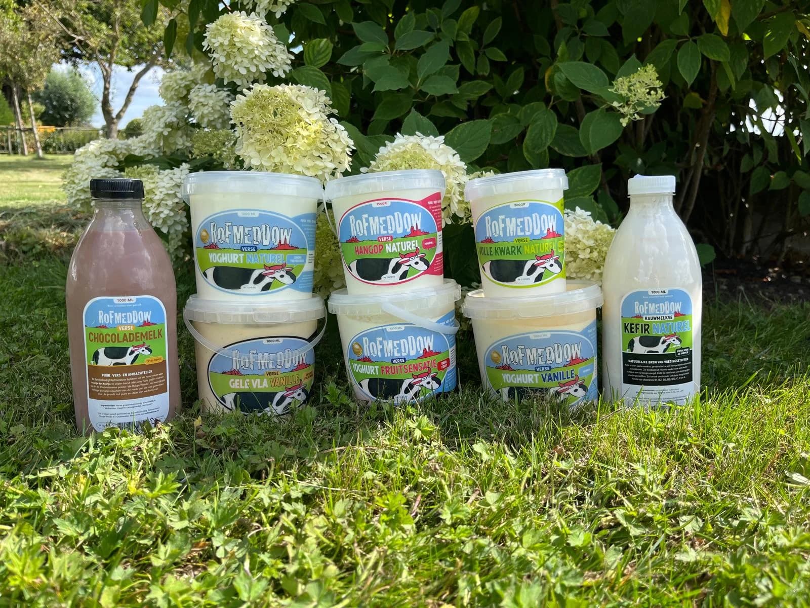 Yoghurt, kwark, hangop, vla, chocolademelk en kefir van RoFMedDow
